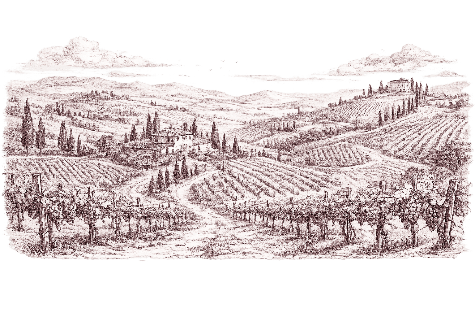 Ink and burgundy engraving of a Tuscan vineyard — vine rows in the foreground rolling toward hills dotted with cypress trees, farmhouses and distant mountains