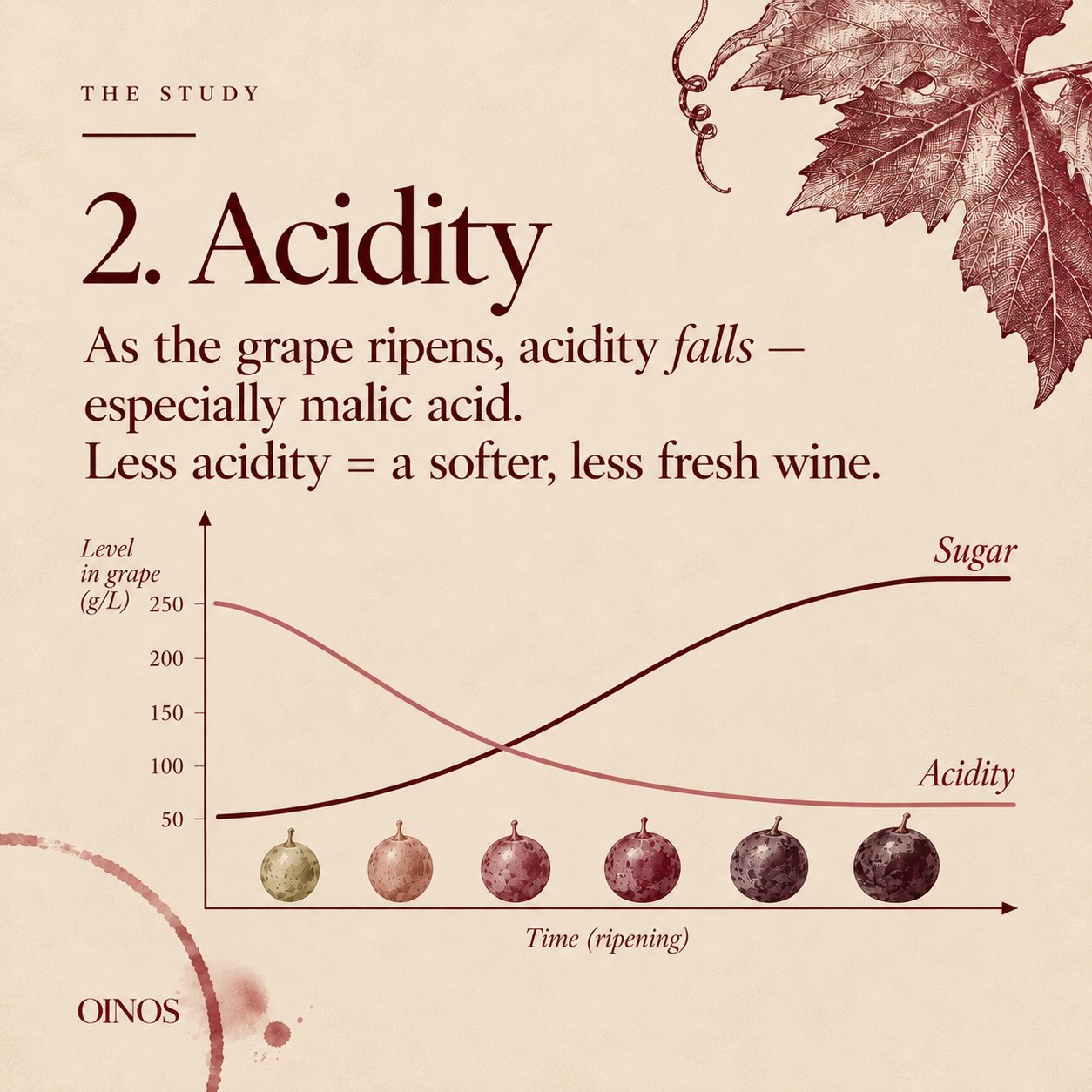 Picking date is one of the first big decisions of the vintage.