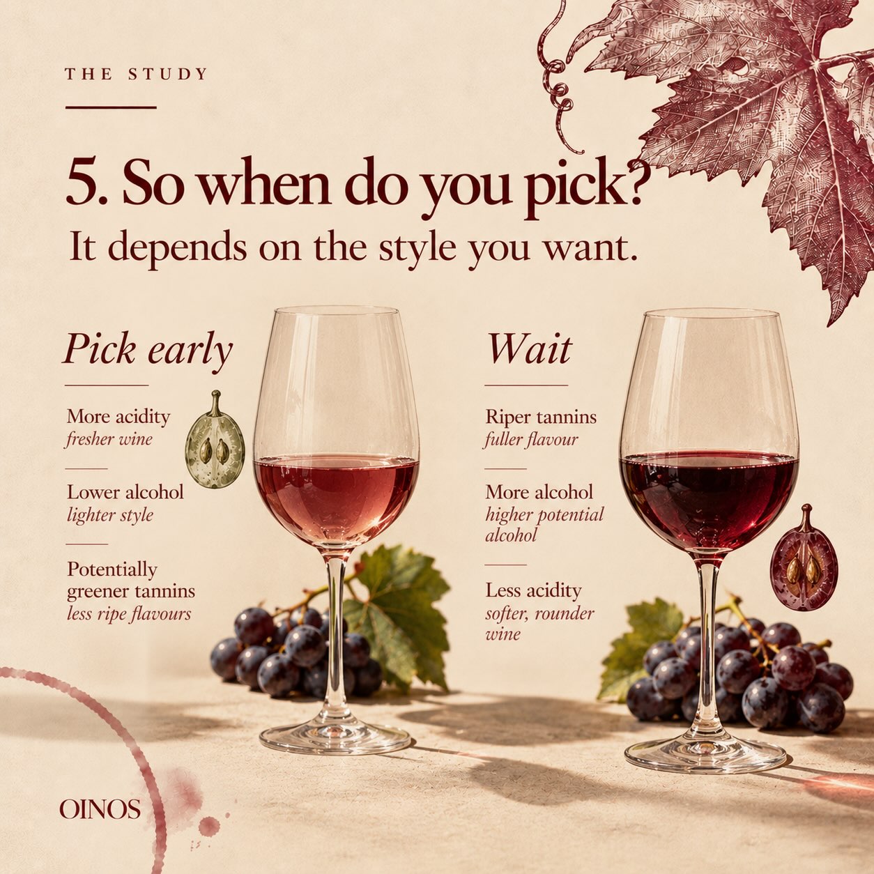 Picking date is one of the first big decisions of the vintage.