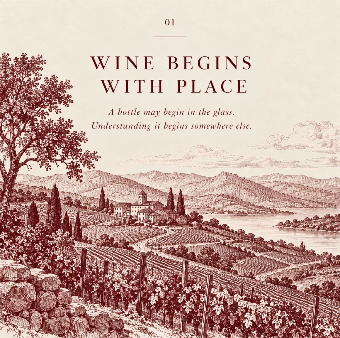 Stand halfway up a slope in the Côte de Nuits and much of Burgundy’s argument begins to make sense.