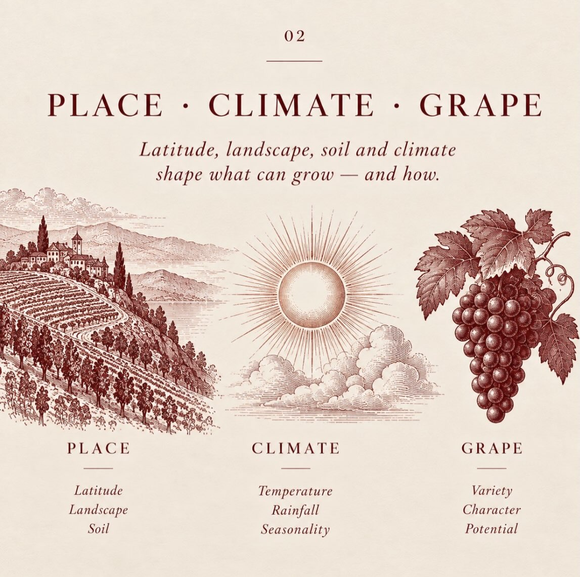 Stand halfway up a slope in the Côte de Nuits and much of Burgundy’s argument begins to make sense.