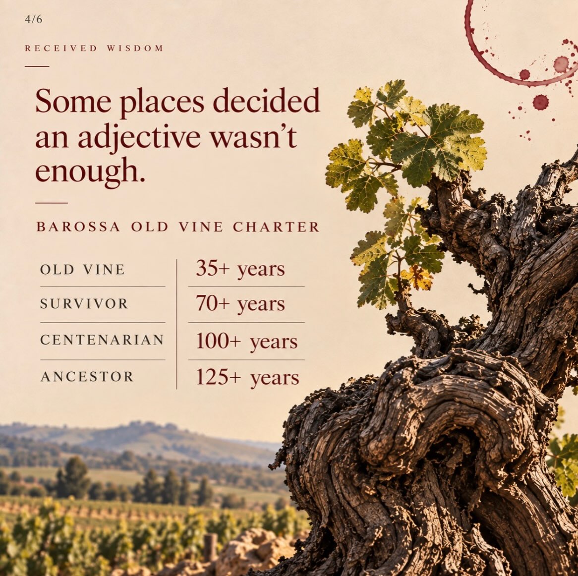 Old Vines