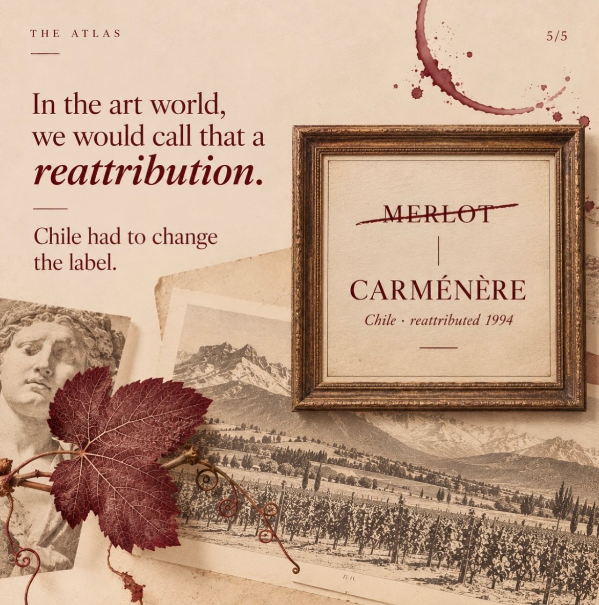 For more than a century, Chile grew Carménère and called it Merlot.