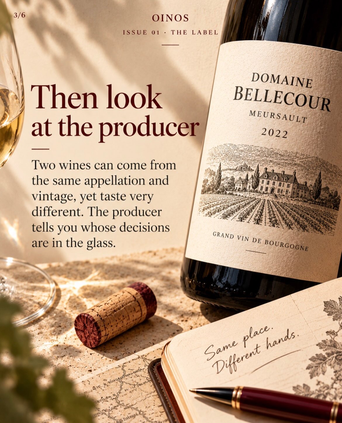 A wine label is a remarkably small document for the amount of responsibility it carries. It must identify the wine, communicate its origin and satisfy various legal requirements, while somehow persuading you to choose it over the forty-seven bottles standing beside it.